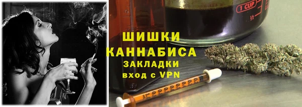 прущие грибы Алзамай