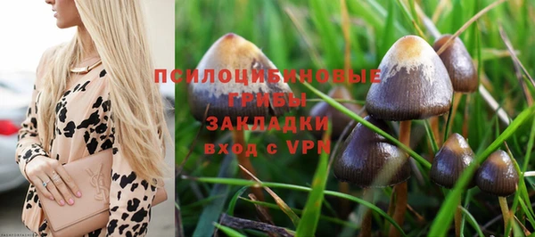 кокс Алексин