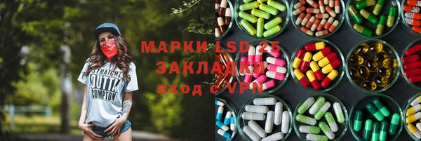 прущие грибы Алзамай