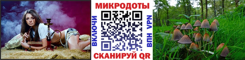 Псилоцибиновые грибы Cubensis  Грязи 