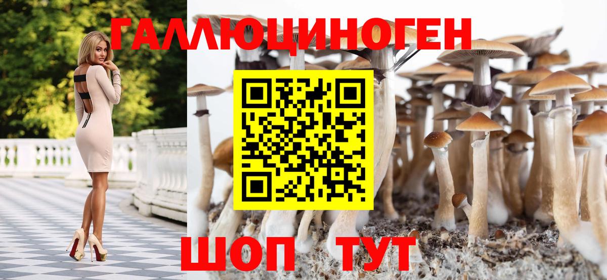 Галлюциногенные грибы прущие грибы  Вход с VPN  Псилоцибиновые грибы GOLDEN TEACHER  Грязи 